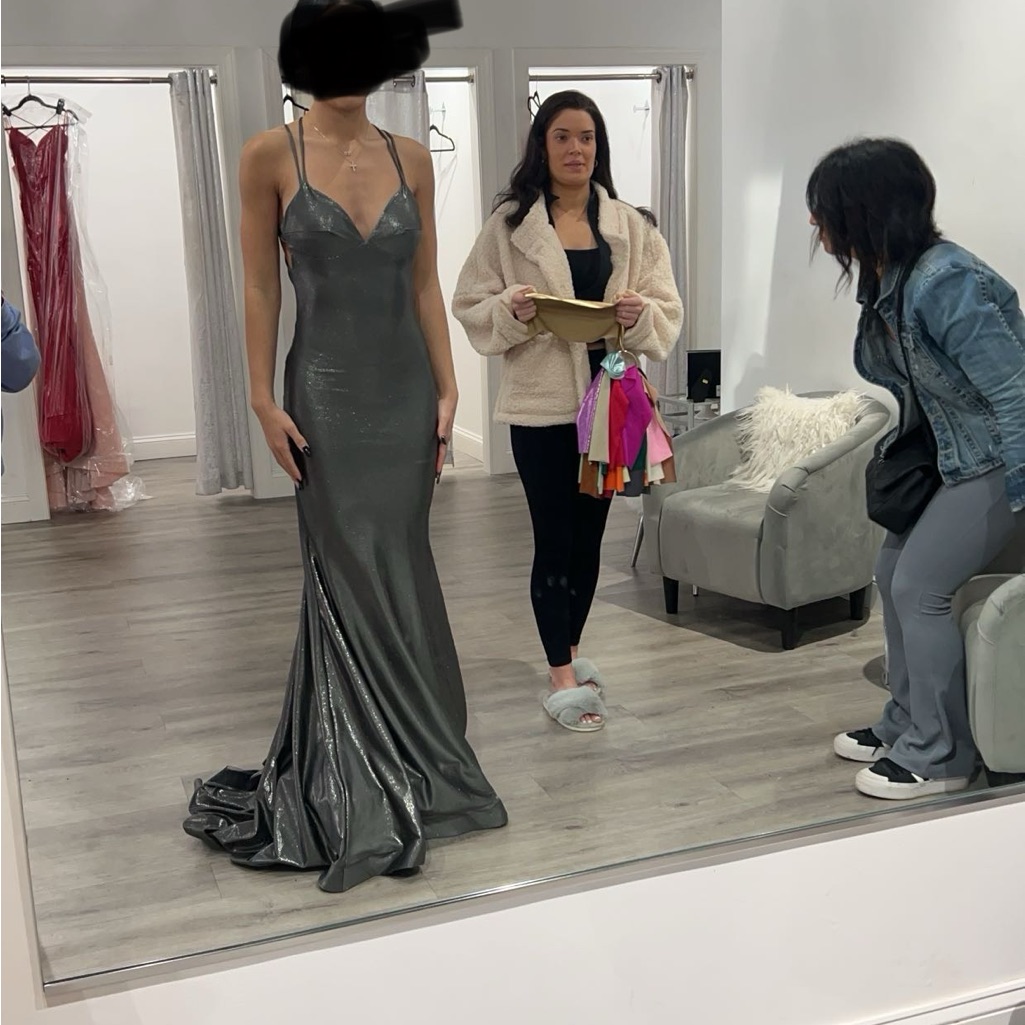 Elegant Gray Evening Gown